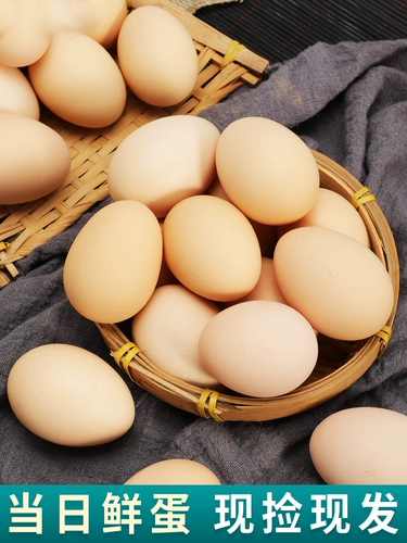 Частые свежие почвенные яйца под лесом на юге Аньхай, 50 фермеров яиц с яйцом Cordyceps теперь собирают яичный желток