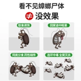 Медицина таракана -все -хентские семейные не -токсичные беременные женщины и дети -младенцы устраняют наклейки на приманку для приманки для тараката Сяцян, чтобы убить