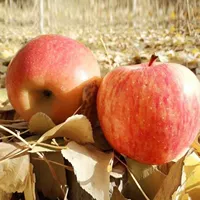 Большой фрукт