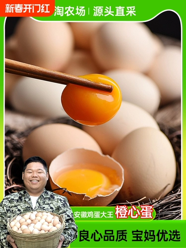 Частые свежие почвенные яйца под лесом на юге Аньхай, 50 фермеров яиц с яйцом Cordyceps теперь собирают яичный желток