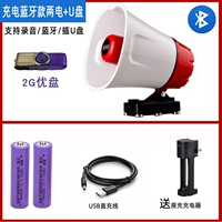 Модель модели зарядки Bluetooth (две мощности и одна зарядка)+U Диск