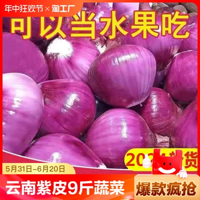Yunnan zi pi xiaopi лук свежие 9 кот круглых зеленых луковых луковых овощей, красных фермеров, фермеров, фермеров, фермеров 1