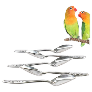 鹦鹉不锈钢喂食勺雏鸟喂奶勺牡丹玄凤手养幼鸟奶粉喂食器