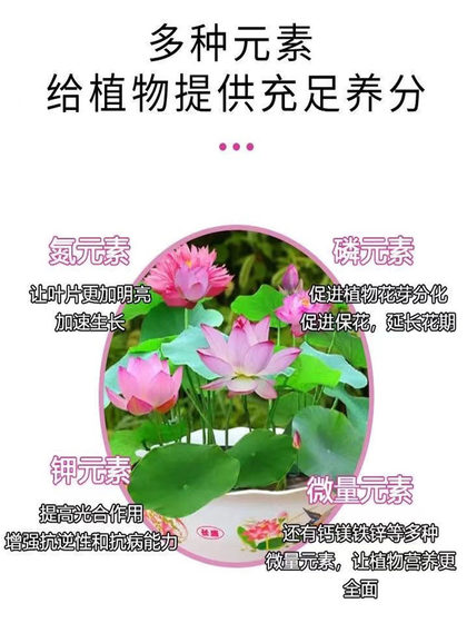 碗莲营养液专用水溶肥水培睡莲通用肥料治慢开花植物黄叶烂根净水