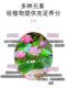碗莲营养液专用水溶肥水培睡莲通用肥料治慢开花植物黄叶烂根净水