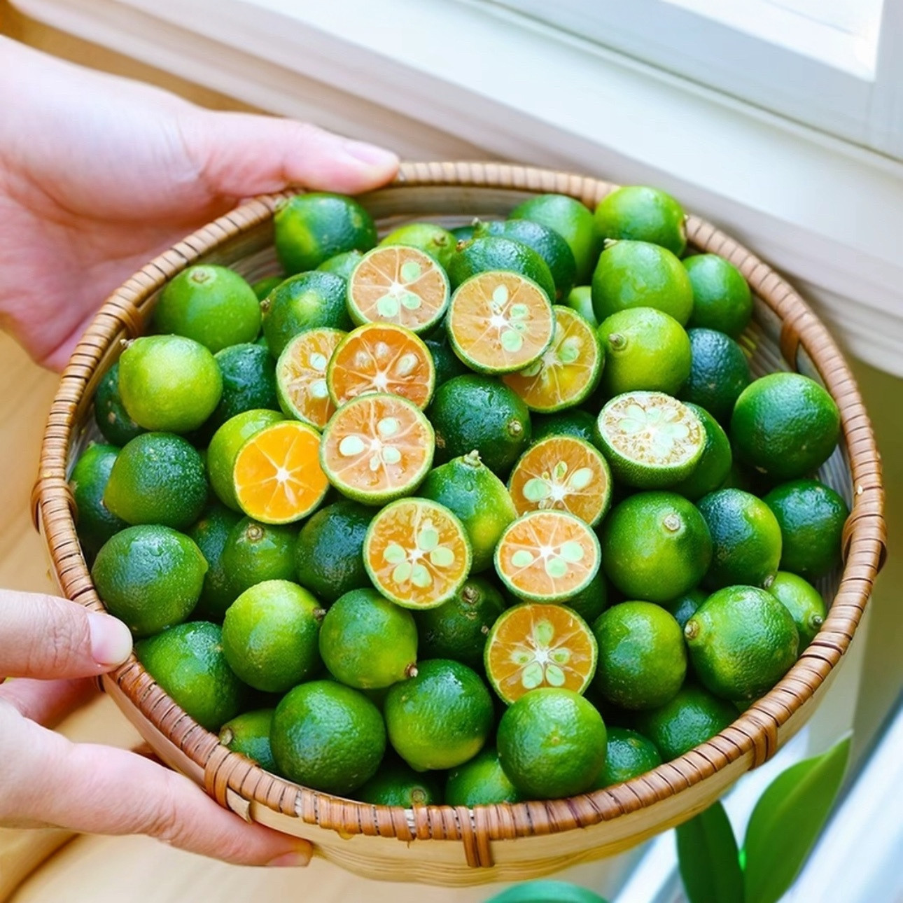 海南青金桔新鲜包邮,酸甜多汁的美味风暴来袭🍋🍊-桔子-淘宝百科网