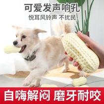 Dog sounding toy bite-resistant and boredom-relieving artifact flower sound ball pet corgi teddy large and small dog molar stick thickened
