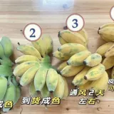 【Pure Sweet】 Authentic Apple � 单单 банановый порошок банановый сезонный фрукты без фруктов.