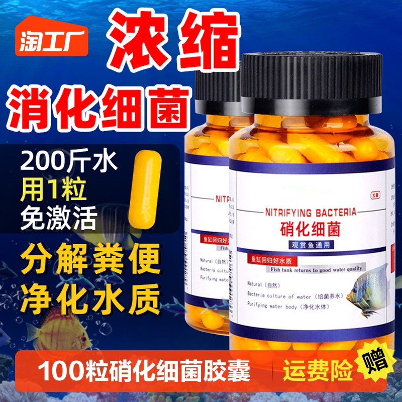 Nitrochemical bacteria fish tank special capsule water purification live bacteria dry powder fish farming aquatic digesting concentrate to yellowwater methylene-Taobao