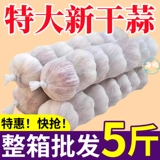 [Первый одиночный прямой] голова чеснока оптом сушеные чесночные фиолетовые кожи, сушеный чеснок, большой свежий чеснок оптом бесплатная доставка