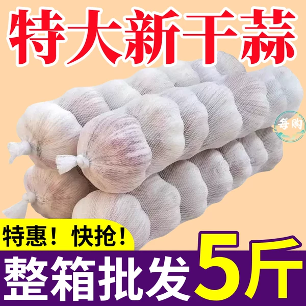 Товары от 天天特卖工厂