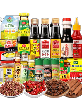 组合宿舍生抽厨房炒菜调味品