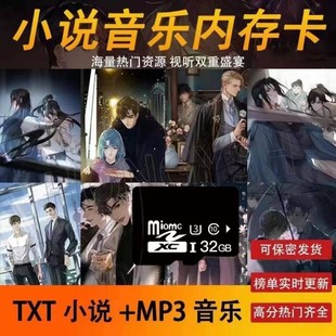 Novel memory card 128G e-book storage card music TF card mp3MP4 with movie novel song sd card