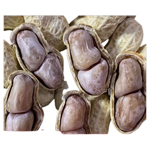 龙岩花生蒜香五香香酥原味盐水白晒咸干水煮花生米带壳炒货熟零食