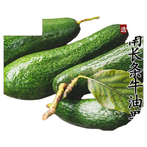 越南进口长条牛油果大果5斤新鲜当季热带水果果汁沙拉鳄梨包邮s