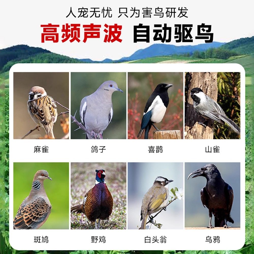 阳台驱鸟神器:赶鸟防鸟新利器,超声波全自动驱鸟器户外版来啦!🦜🏡-鸟禽其他-淘宝百科网