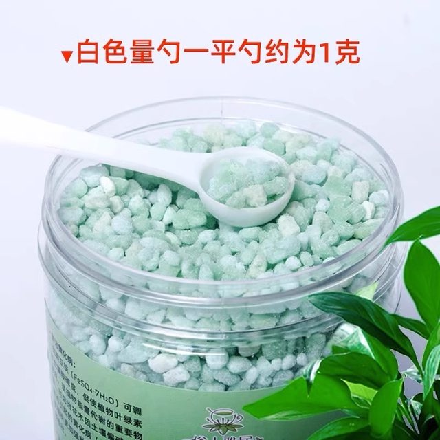 Ferrous sulfate flower ປຸ໋ຍກົດຮັກພືດ Milan gardenia camellia azalea osmanthus ຝຸ່ນພິເສດທີ່ລະລາຍນ້ໍາໃນຄົວເຮືອນ