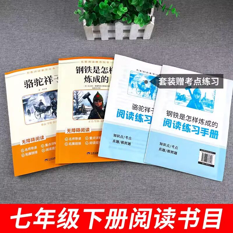 从虚假繁荣到真实风险的全方位解析