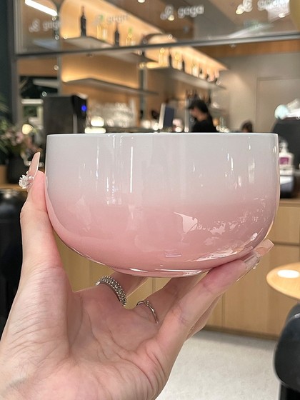 不锈钢碗家用2024新款饭碗食品级个人专用碗筷高颜值餐具防烫碗具