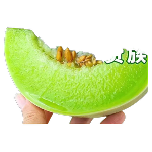 正宗玉菇甜瓜冰淇淋蜜瓜10斤装应季新鲜水果香瓜脆甜密瓜整箱包邮