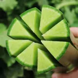 Shandong Weifang фруктовый редька свежее сладкое и хрустящее фрукты тип 10 фунтов синего мороженого ананаса сырой съеденный подлинный 6 бесплатных доставки