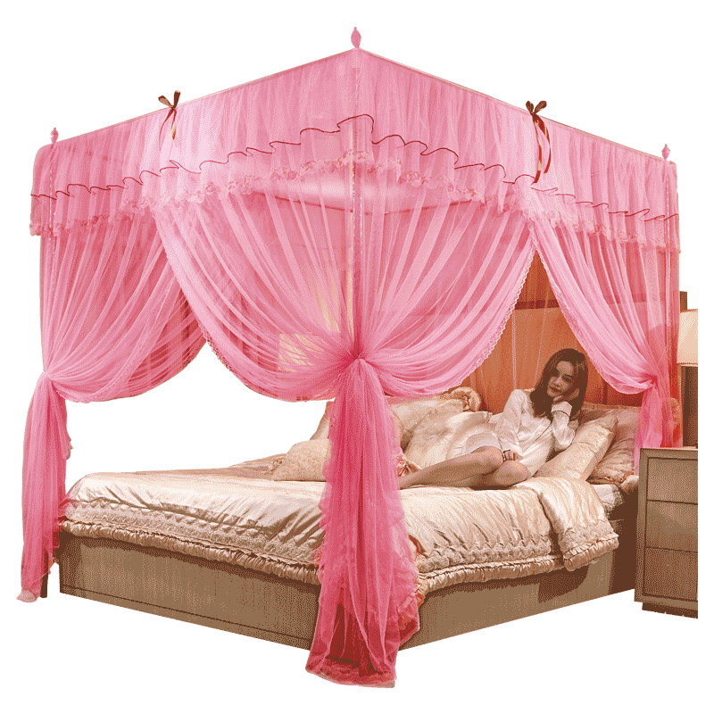 Dream 2023 new home mosquito net tent three-door single double 1.5m1.8m bedroom to prevent bold flooring