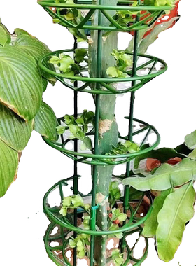 花卉支架多层款式|超3000次加购