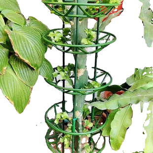 花卉支架蟹爪兰花架开口园艺爬藤架结实支撑架多层花托