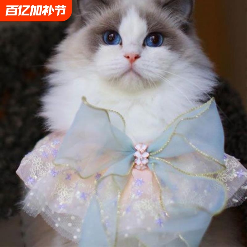 Cat and Dog Pet Accessories: Collars, Bells, Bow Ties, Lace Knit Bibs, Necklaces