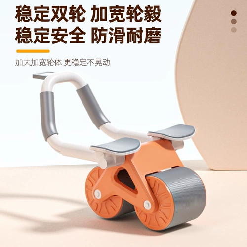 Автоматическая реконструкция задних колеса брюшной полости, упражнения на брюшную полость, артефакт мышц брюшной полости, мужское и женское опор