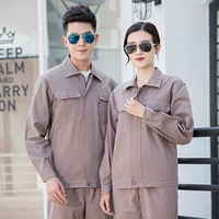 Верблюд набор