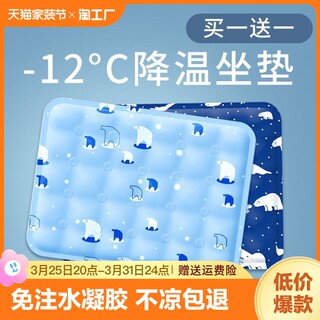 [Same style as Brother Xiao Yang] 2024 new home ice pad