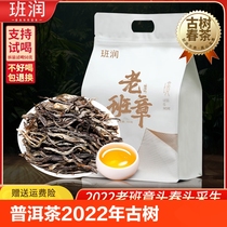 Ban Run Lao Ban Zhang Puer Tea Raw Tea Loose Tea 2022 Spring Tea Ancient Tree Tea Raw Puer Tea Loose Yunnan Tea