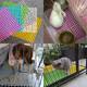 Pet foot pad rabbit cage cat cage mesh dog cage pad foot plate cat and dog cage special bottom mat anti-slip