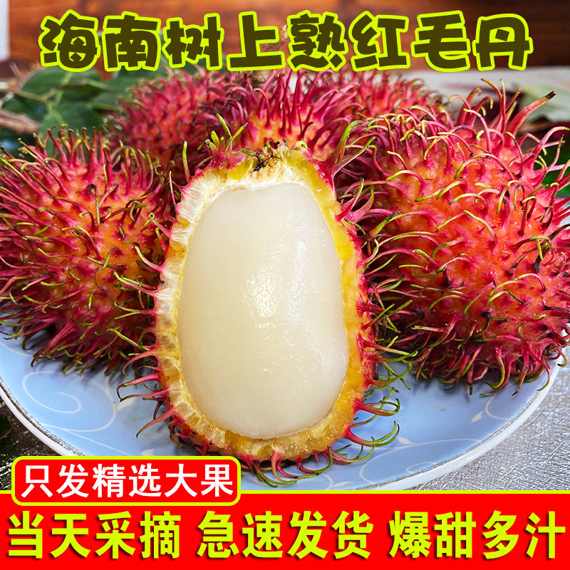 海南红毛丹｜热带水果天花板？一口爆汁的“小荔枝”真有这么香？🍍-毛丹-淘宝百科网