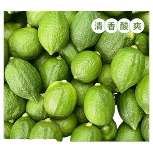 特价商用 广东无籽香水柠檬新鲜柠檬一级果鸭屎香柠檬茶奶茶专用