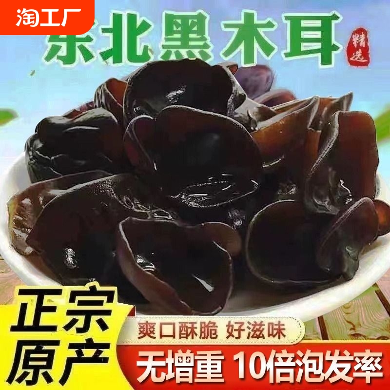 東北黒菌 乾物 500g 秋の特産品 本場黒龍江省 非野生 非特級 秋菌 根無し草 高品質