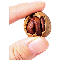 Yingke Township Linan Pecan 2023 New Arrival Hand Peeled Good Peel Bag Small Walnut Large Nut Snack