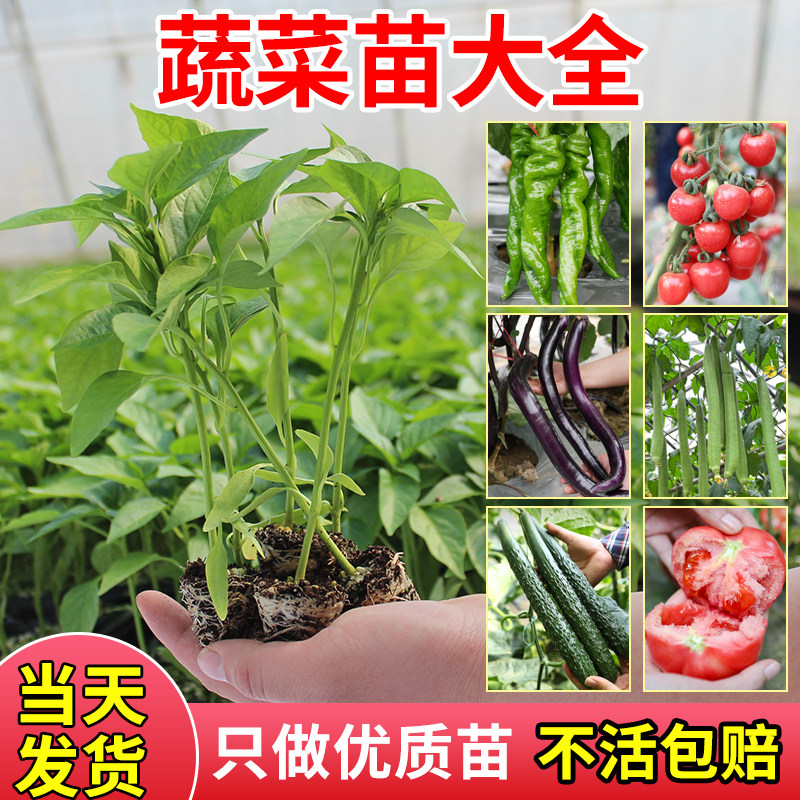 淘宝评论话术大全：如何用搞笑段子赢得买家的心？