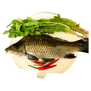 正宗千岛湖原生态新鲜黄金鲫鱼现杀水产鲜活孕产妇下奶月子炖汤喝