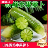 Shandong Weifang фруктовый редька свежее сладкое и хрустящее фрукты тип 10 фунтов синего мороженого ананаса сырой съеденный подлинный 6 бесплатных доставки