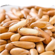 This year’s new arrival: Brazilian pine nuts in bulk extra large particles new seeds hand-peeled pine nuts