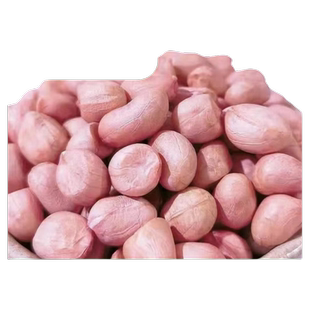 新鲜花生仁白沙花生米生花生家用商用批发可做种子特产油炸新货