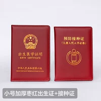 Небольшой толстый Свидетельство о рождении Jujube+Свидетельство о вакцинации