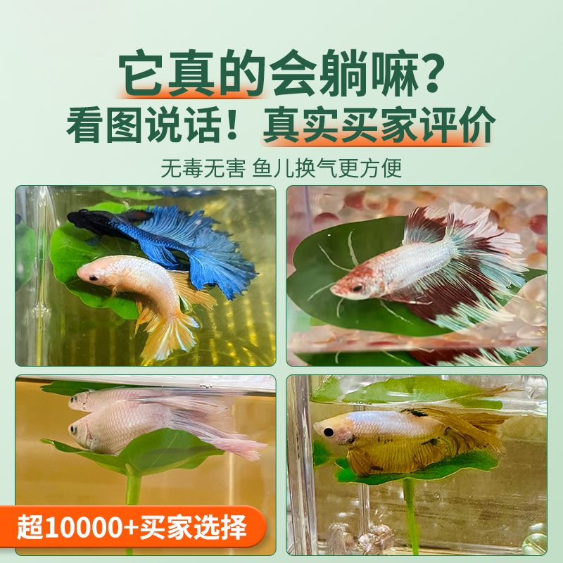 斗鱼平台有哪些好玩的玩法？新手必看！