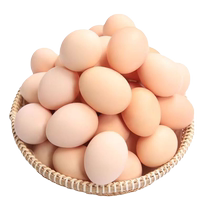 (9 9 сшито 20 штук) Шаньси яйца великих королей свежих яиц без добавления гормона антибиотика 