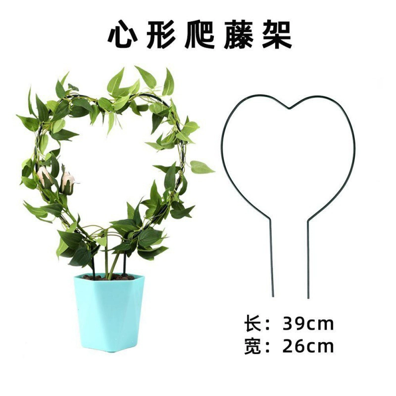 Cua Móng Vuốt Phong Lan Chân Đế Làm Vườn Hỗ Trợ Khung Bảo Vệ Ban Công Cực 2 Lớp Ngoài Trời Pothos Trong Nhà Lá Phong Lan Hoa Cố Định kệ sắt ban công 