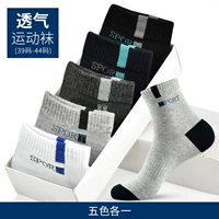 Весна и осень четыре сезона [5 двойной мгновенный] 5 цвет каждый