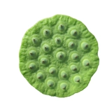 Хунань Сянгтан Fresh Lotus Film выбирает и ест сладкие и нежные семена лотоса натуральные фрукты.