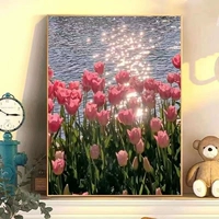 Цифровой акрил для рисования, масляная краска, «сделай сам», ручная роспись, подарок на день рождения